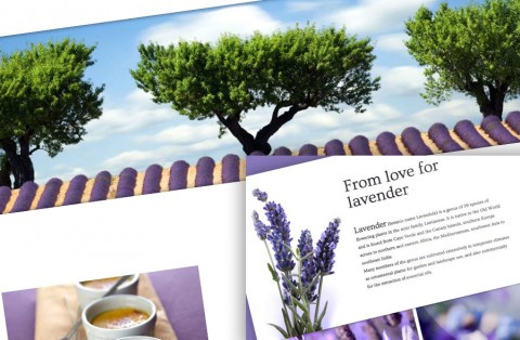 From love for lavender - fancy scrolling effect