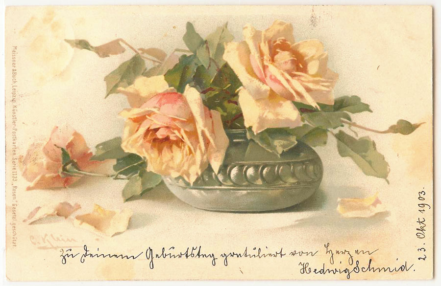 Catherine Klein Postcards Rose
